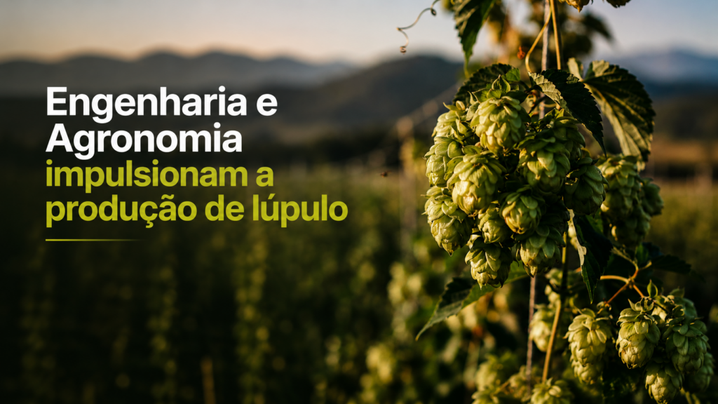 Do campo ao copo: engenharia e agronomia se encontram na cadeia produtiva do lúpulo Do campo ao copo: engenharia e agronomia se encontram na cadeia produtiva do lúpulo